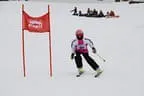 Rennen 3.1.2013 Bild 36