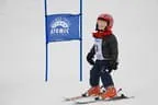 Rennen 3.1.2013 Bild 174