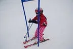 Rennen 17.1.2013 Bild 65