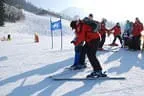 Rennen 14.2.2013 Bild 282