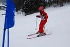 Rennen 21.2.2013 Bild 199