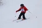 Rennen 21.2.2013 Bild 220