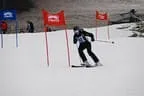 Rennen 2.1.2014 Bild 70
