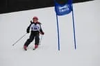 Rennen 2.1.2014 Bild 130