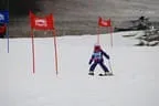 Rennen 2.1.2014 Bild 166