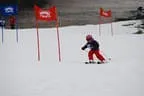 Rennen 2.1.2014 Bild 185