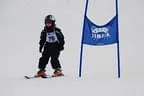 Rennen 2.1.2014 Bild 318