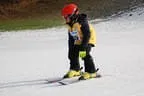 Rennen 9.1.2014 Bild 210