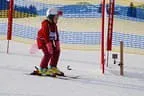 Rennen 9.1.2014 Bild 241