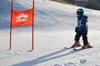 Rennen 16.1.2014 Bild 156