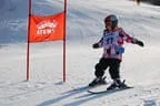Rennen 16.1.2014 Bild 161