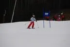 Rennen 23.1.2014 Bild 171