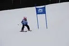 Rennen 23.1.2014 Bild 195
