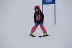 Rennen 23.1.2014 Bild 232