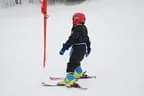 Rennen 30.1.2014 Bild 79