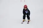 Rennen 30.1.2014 Bild 92