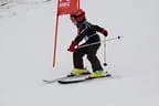 Rennen 6.2.2014 Bild 64