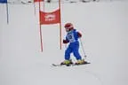 Rennen 6.2.2014 Bild 93