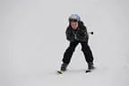 Rennen 6.2.2014 Bild 151