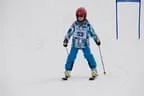 Rennen 6.2.2014 Bild 182