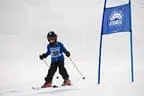 Rennen 27.2.2014 Bild 69