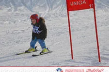 Rennen 01.01.2015 Bild 71