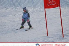 Rennen 01.01.2015 Bild 78