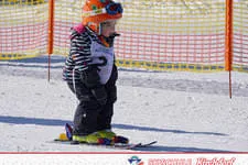 Rennen 12.02.2015 Bild 44