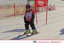 Rennen 19.02.2015 Bild 29