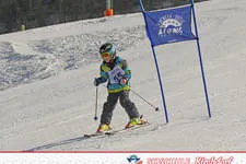 Rennen 19.02.2015 Bild 118
