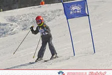 Rennen 19.02.2015 Bild 128