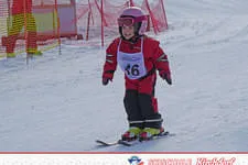 Rennen 26.02.2015 Bild 4